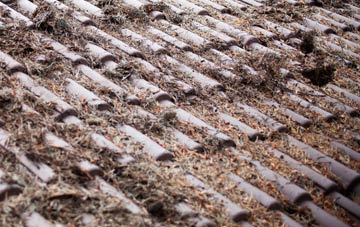 Hollacombe roof cleaning companies